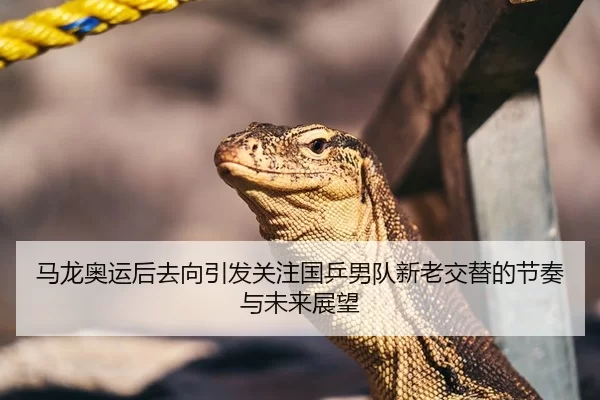 马龙奥运后去向引发关注国乒男队新老交替的节奏与未来展望