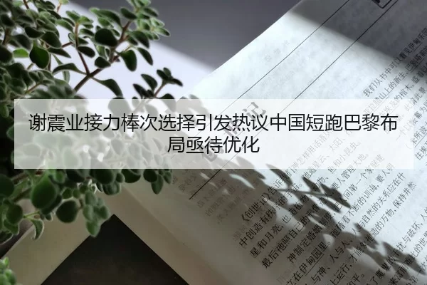 谢震业接力棒次选择引发热议中国短跑巴黎布局亟待优化